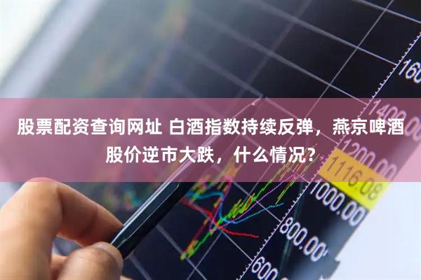股票配资查询网址 白酒指数持续反弹，燕京啤酒股价逆市大跌，什么情况？
